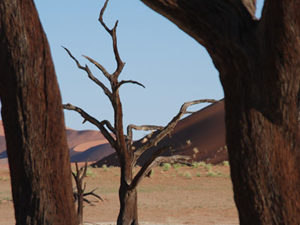 namibia